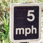 Outdoor 5 mph speed limit sign surrounded by greenery in Silverado, California.